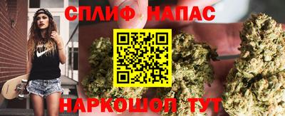 гашик Свободный
