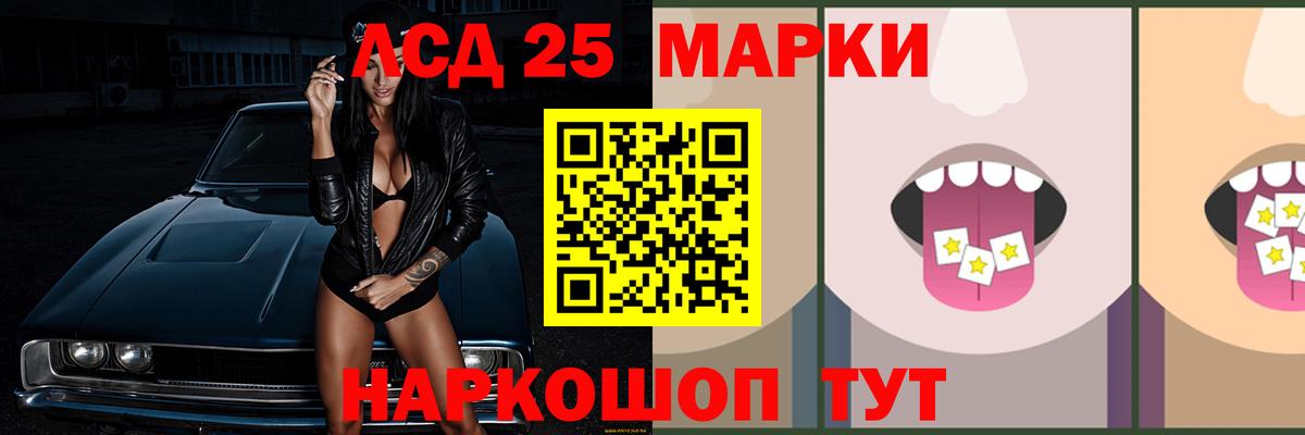 APVP Новозыбков