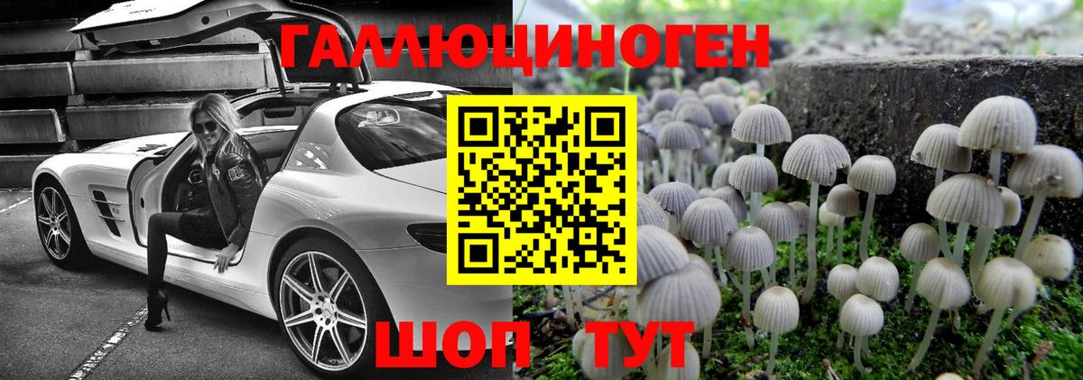 Галлюциногенные грибы Psilocybine cubensis Новозыбков