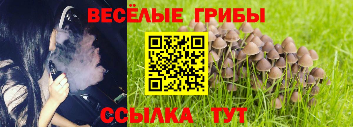 Новозыбков  Псилоцибиновые грибы мухоморы  Псилоцибиновые грибы прущие грибы  Вход с VPN 